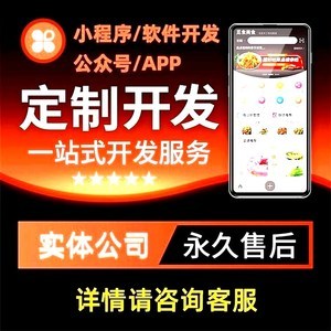 手机app软件定制