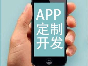 图 app定制开发 小程序开发 商城系统开发 网站定制 成都网站建设推广